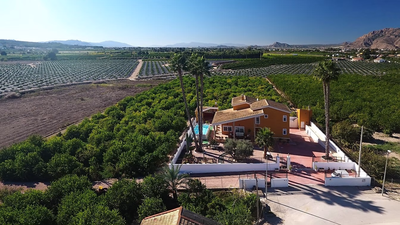 WW410670-5 Bedrooms Country Villa with above ground Pool, BBQ/Kitchen, Garage and 8500m2 of Lemon grove-Orihuela | White Villas in Spain 5 Bedrooms Country Villa with Pool Garage BBQ Kitchen Lemon Trees06