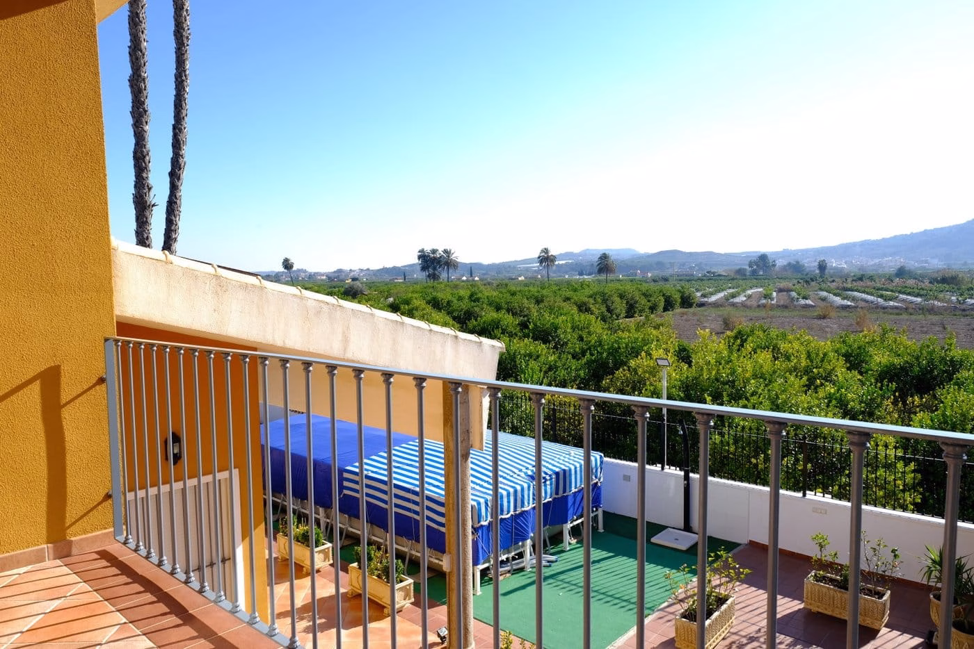 WW410670-5 Bedrooms Country Villa with above ground Pool, BBQ/Kitchen, Garage and 8500m2 of Lemon grove-Orihuela | White Villas in Spain 5 Bedrooms Country Villa with Pool Garage BBQ Kitchen Lemon Trees38