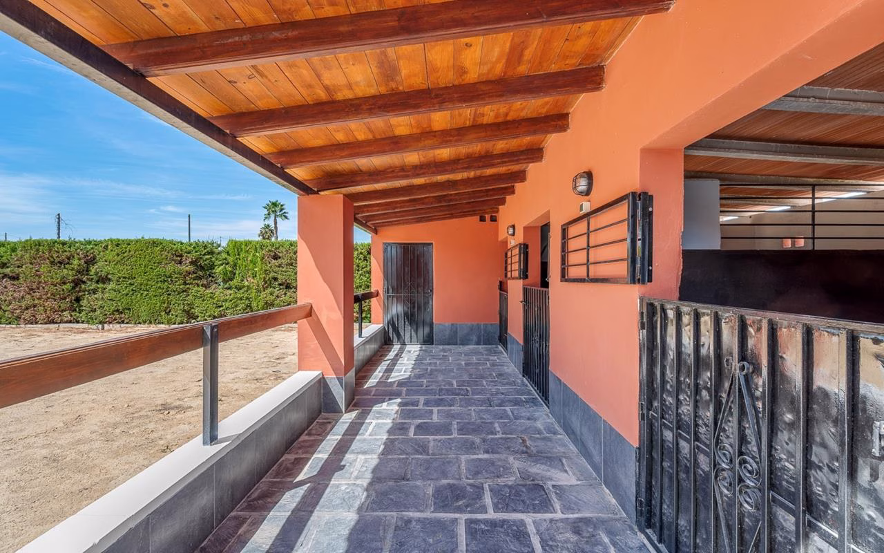 WP849_6 Bedrooms Equestrian Property with Pool, Outside BBQ/Kitchen, Guest House and 3 Box Stable Block_HEREDADES_ROJALES_ALMORADI | White Villas in Spain WhiteVillasInSpain49 4