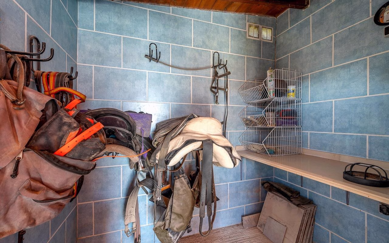 WP849_6 Bedrooms Equestrian Property with Pool, Outside BBQ/Kitchen, Guest House and 3 Box Stable Block_HEREDADES_ROJALES_ALMORADI | White Villas in Spain WhiteVillasInSpain50 4