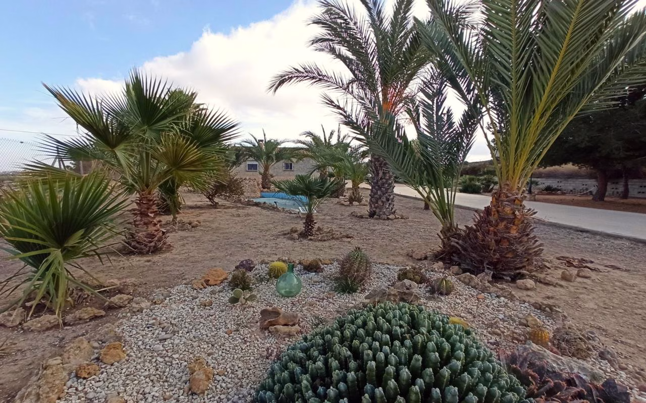Ref: WAC0463 — ASPE – 4 Bedrooms Country Villa with Pool, Carport and BBQ/Kitchen | White Villas in Spain WhiteVillasInSpain04 20