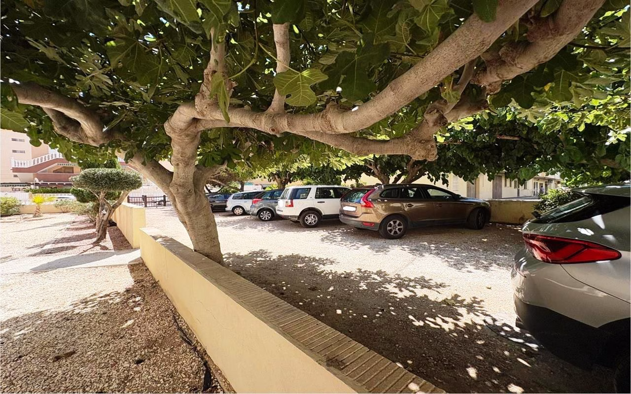 WS5411_2 Bedrooms Apartment on 4th Floor with Lift Access, Parking, Glazed-in Terrace and Solarium, 250m to the Beach_LA MATA_TORREVIEJA | White Villas in Spain WhiteVillasInSpain04 4