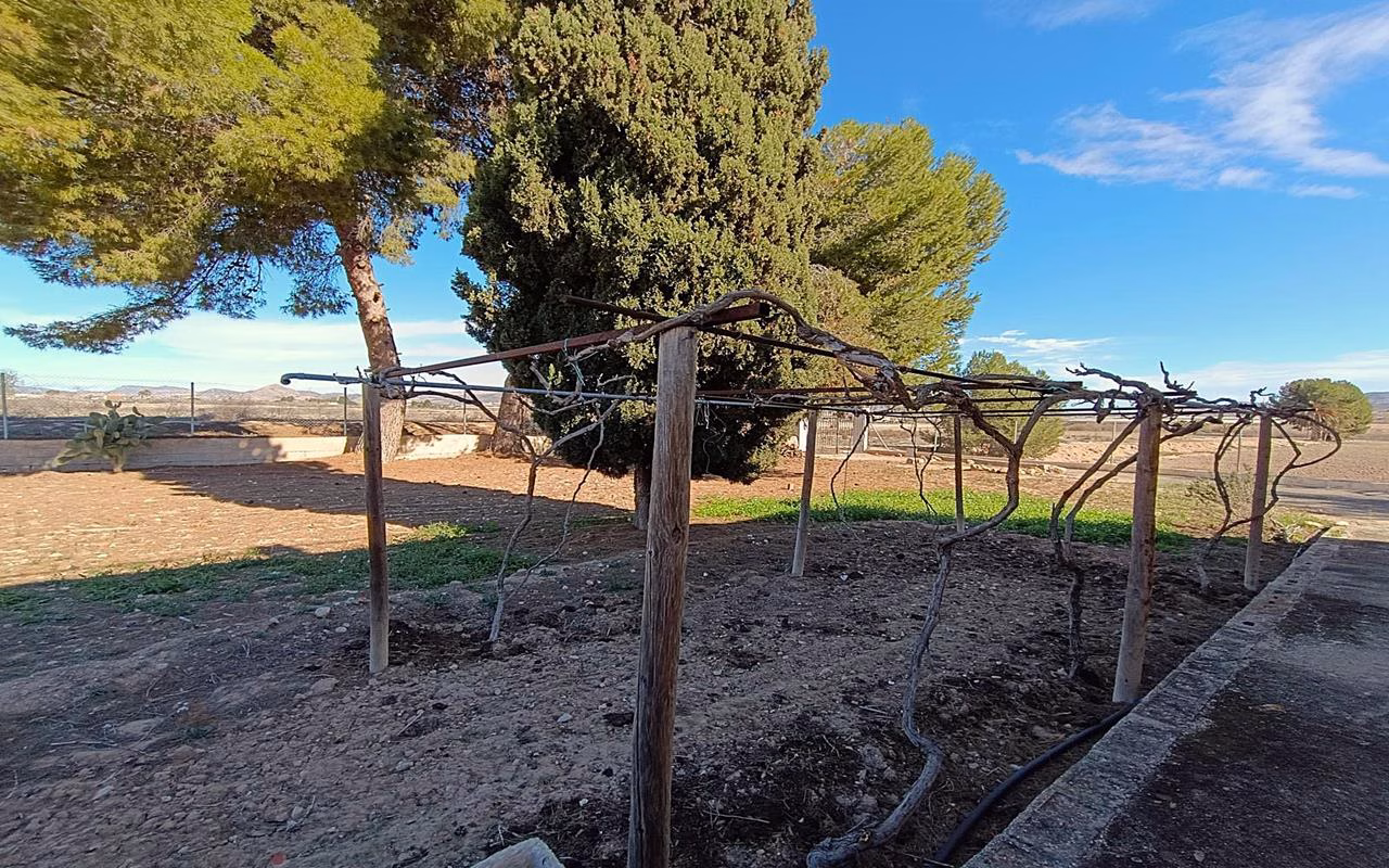 Ref: WAC0561 — ASPE – 5 Bedrooms Country Villa with Pool, Garage, Terrace and BBQ on a 58000m² Plot | White Villas in Spain WhiteVillasInSpain31 11