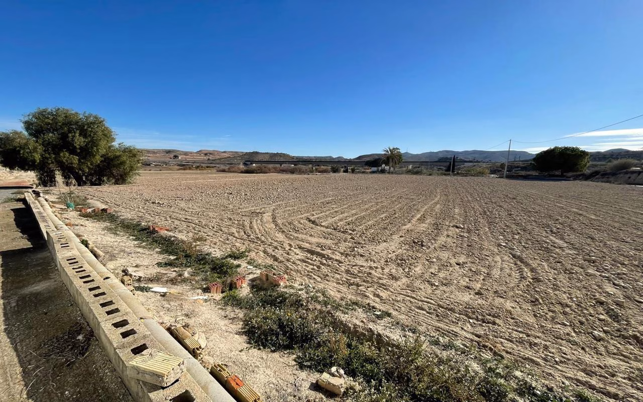 Ref: WAC0561 — ASPE – 5 Bedrooms Country Villa with Pool, Garage, Terrace and BBQ on a 58000m² Plot | White Villas in Spain WhiteVillasInSpain33 10