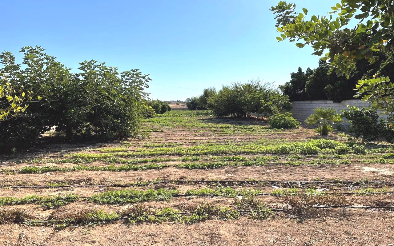 Ref: WV2614 — ALBATERA – 4 Bedrooms Country Villa with Pool, BBQ area and Garage | White Villas in Spain WhiteVillasInSpain04
