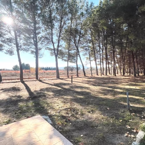 2 Bedrooms Reformed Finca with 2 Bedrooms Guest House, Pool, Carport and Outside BBQ/Kitchen_SALINAS