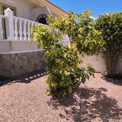 3 Bedrooms Semi-Detached Villa with comm. Pool, Front and Back Terrace, Off-Road Parking and Top Terrace with Open Views_CIUDAD QUESADA_ROJALES