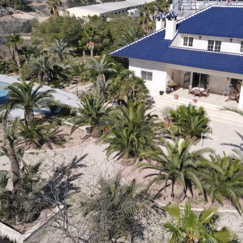 7 Bedrooms Executive Villa with Pool, 3-car Carport and converted Underbuild_ELCHE