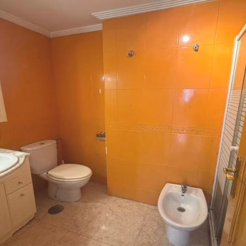 2 Bedrooms Apartment on 1st Floor with Lift Access and Terrace, 250m to the Sea_TORRELAMATA_TORREVIEJA