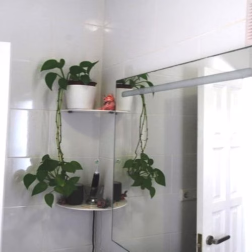 2 Bedrooms Detached Villa with comm. Pool, Off-Road Parking, Storage and Solarium_CIUDAD QUESADA_ROJALES