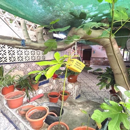 3 Bedrooms Terraced Village House with Courtyard and Solarium_BENEJUZAR