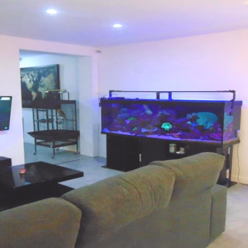 3 Bedrooms Modern Villa with comm. Pool, BBQ-Kitchen, Double Garage, Storage_FORTUNA_Murcia