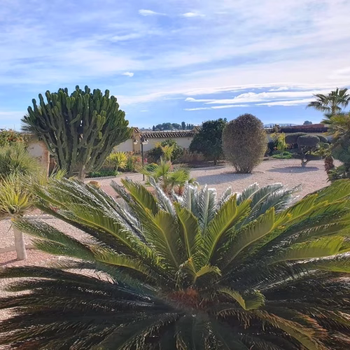 4 Bedrooms Country Villa with Pool, Garage, Carport, Outside BBQ/Kitchen and Solarium_CATRAL