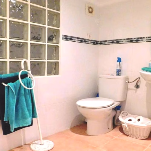 Bathroom Guest Annex