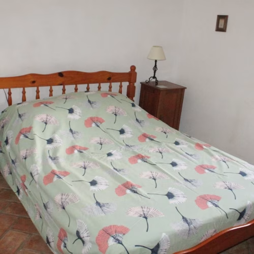 5 Bedrooms Country Retreat with Pool and Guest Accommodation on a 13.000m2 Plot_RASPAY_PINOSO