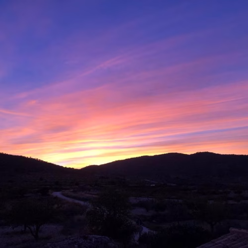 5 Bedrooms Country Retreat with Pool and Guest Accommodation on a 13.000m2 Plot_RASPAY_PINOSO