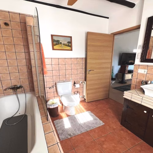 2 Bedrooms Reformed Finca with 2 Bedrooms Guest House, Pool, Carport and Outside BBQ/Kitchen_SALINAS